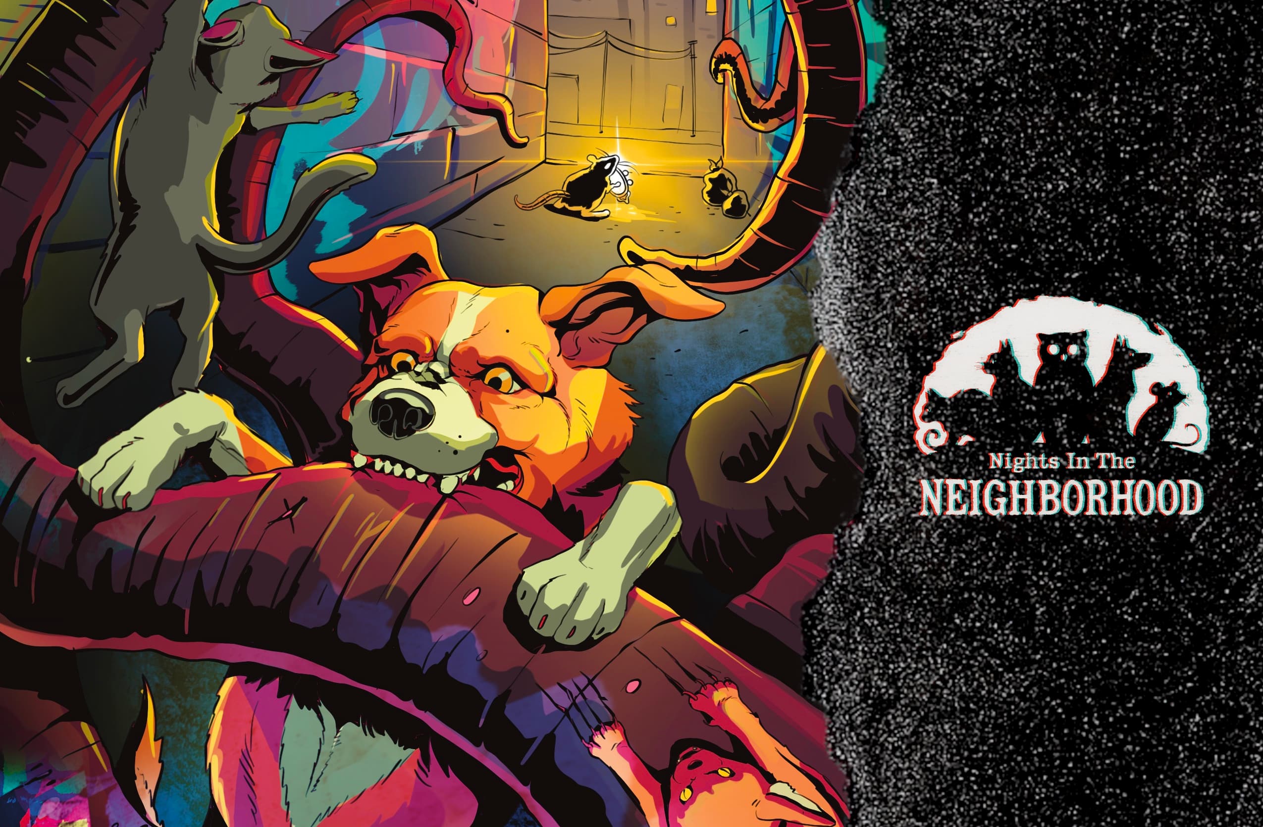 Nights in the Neighborhood