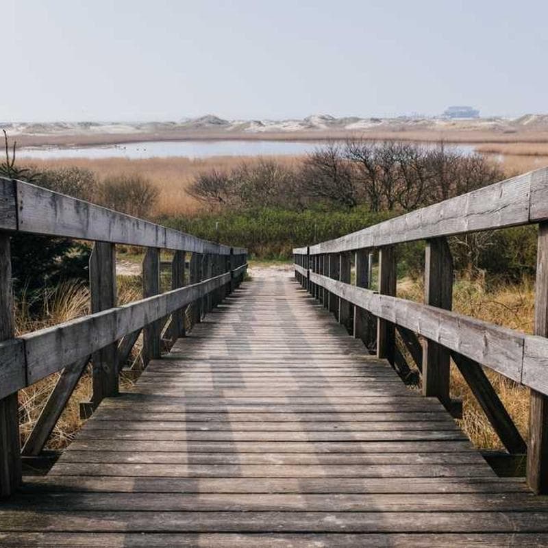 Retro collage evoking horror ambience for The Company Studio